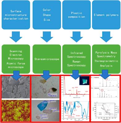 Current status and trends of research on microplastic fugacity characteristics and pollution levels in mangrove wetlands